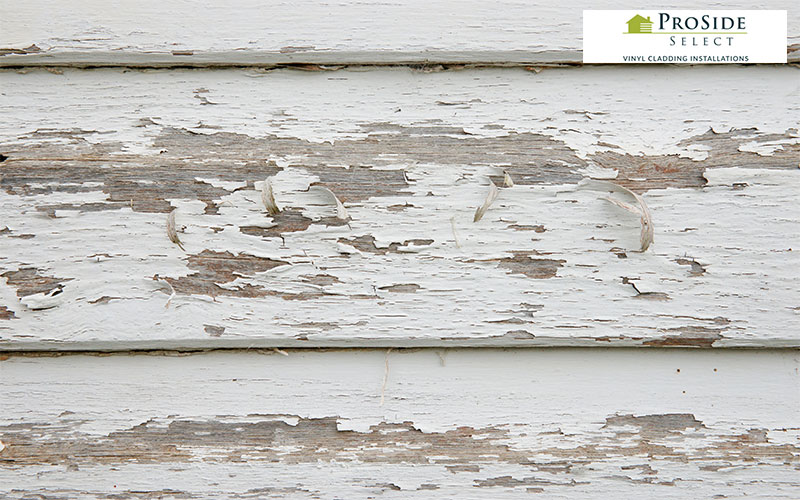 Rotten Weatherboards Blog Featured Image